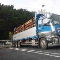 JO7PJJ