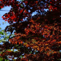 再訪「出流原弁財天」に行ってきた。「Canon5D_markⅡ」Ver.