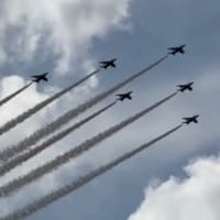 ブルーインパルスが飛んだ日2025