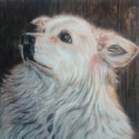 犬の絵　パステル画