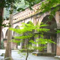 南禅寺の水道橋