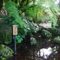 居醒の清水