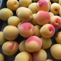 追熟2日でいい感じ