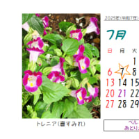 ◎7月の花：2006～2021～まとめ