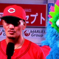 ネギ坊主に蜜蜂