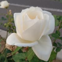 ホセア書　解説　重要　　２０１８.５．２１