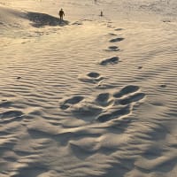 読書について