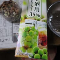 枇杷のタネでエキスを作りました