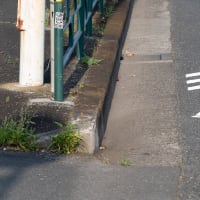 自転車の路上マークが違う！＋α