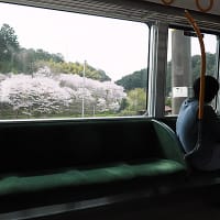桜井線・和歌山線、奈良～五条