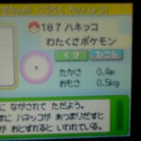 色違いポケモン4 ポニータ ゲームの小部屋 色違いポケモン4 ポニータ ゲームの小部屋