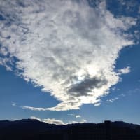 出産は喜びです