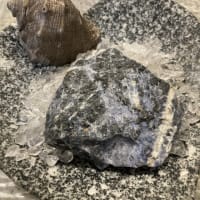 現実的な目標や夢を達成する為の意思や我慢強さを強く高めてくれる石　ソーダライト