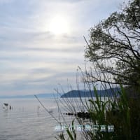 昨日の続きで夕刻近くの琵琶湖湖岸