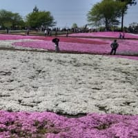 絶景でしたが……