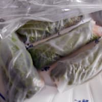 生春巻き