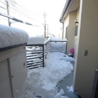 大雪の翌朝