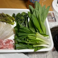 Thu '24/04/25 山菜を衝動買い、今日は天ぷらだぁ…