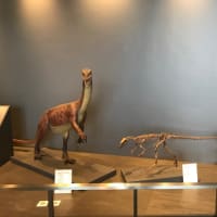 長崎恐竜博物館