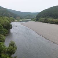 本日の海部川