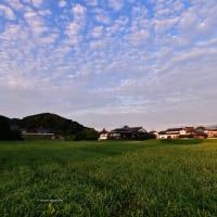古刹とうろこ雲