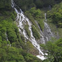無名滝。。。