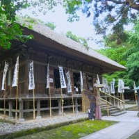 鎌倉散歩～杉本寺（杉本観音）