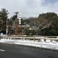 雪の京都に行ってきました