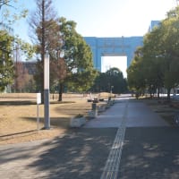１月のお台場：船の科学館敷地前からウエストプロムナード散策道・南端部内へ　ＰＡＲＴ１