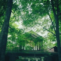 軽井沢国際音楽祭2013　～この夏、都会を休もう～　のご案内