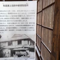 梅の花が満開