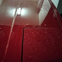 スプレー後、3回目の雨