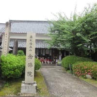 大和１３佛霊場　第３回目　最後は　第５番・金剛寺へ