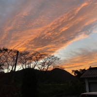 外国人から見た日本。目的地は岡山県真庭市！
