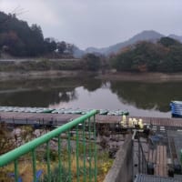 ダイエット報告（12月2週目）＆釣果報告