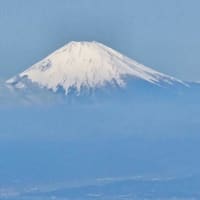 桜前線、追いかけて（東北旅行）