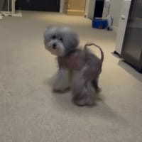 ～膝のその後～