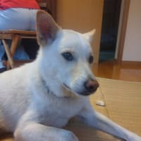 関係良好
