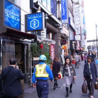 渋谷　KITCHEN TACHIKICHIにてメガ渋谷丼をいただきます。