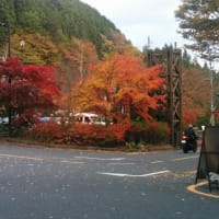 秋季、奥多摩　三頭山(みとさん)登山に行ってきました。