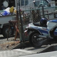 蘇る秋桜だぁ＆モタフェンダー組付けの巻