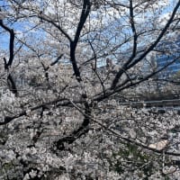 学ぶ喜び