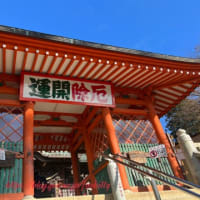 【高尾山】ここも東京です♪薬王院奥社へお参りの後は高尾山のテラスで高尾蕎麦＠十一丁目茶屋