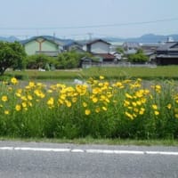 友人が駆けつけてくれた