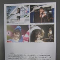 ザ・ベストテン展