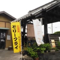 行田を散策