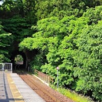 東北　北海道２　宮古から下北半島