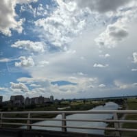 【気まぐれ写真館】 梅雨終盤の「多摩川」