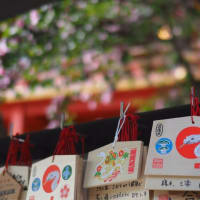 石清水八幡宮にお参り　新年あけましておめでとうございます