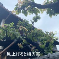便秘で心配